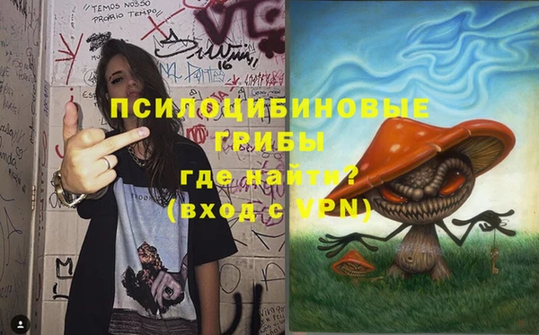 PSILOCYBIN Арсеньев
